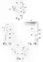 Fig. 06 - Metatarsal fixation device, system and method