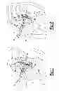 Fig. 02 - Glenoid reamer