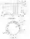 Fig. 08 - Methods and devices for endoscopically creating an anastomosis