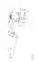 Fig. 09 - Apparatus and devices for percutaneously extending an existing spinal construct