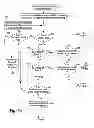 Fig. 13 - Dynamic method for emoticon translation