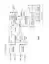 Fig. 04 - Distributed computing in a distributed storage and task network