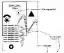 Fig. 01 - SCROLLING WEB PAGES USING DIRECT INTERACTION
