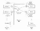 Fig. 01 - Controlling the release of private information using static flow analysis
