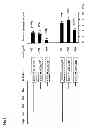 Fig. 02 - Transgenic fish and uses thereof