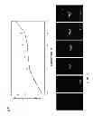 Fig. 09 - Transgenic fish and uses thereof