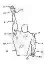 Fig. 01 - DRAG INDUCING SWIMWEAR