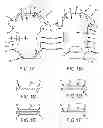 Fig. 02 - INFANT CLOTHING WITH GRIPPING ELEMENT