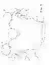Fig. 09 - Shoulder pad cover