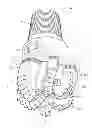 Fig. 01 - FIXED CUTTER DRILL BIT HEEL AND BACK-REAM CUTTER PROTECTIONS FOR ABRASIVE APPLICATIONS