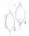 Fig. 07 - Packaging with affixed sorbent sachet