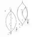 Fig. 08 - Packaging with affixed sorbent sachet