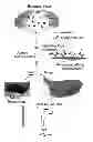 Fig. 02 - Integrated high throughput system for the analysis of biomolecules