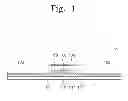 Fig. 02 - WAVEGUIDE PHOTOMIXER