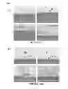 Fig. 06 - Bump including diffusion barrier bi-layer and manufacturing method thereof