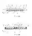Fig. 02 - Method for coating an optoelectronic chip-on-board module and optoelectronic chip-on-board module