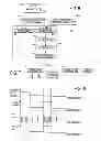 Fig. 04 - Apparatus and method for monitoring the state of charge of a battery cell