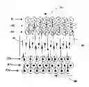 Fig. 01 - Windings and Formation Methods for Transformers