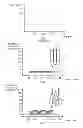 Fig. 04 - Method and implementation for calculating speed distributions with multi-PRI and SMPRF radars