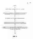 Fig. 07 - Generating a relationship visualization for nonhomogeneous entities