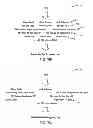 Fig. 09 - Generating a relationship visualization for nonhomogeneous entities
