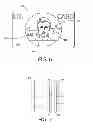 Fig. 04 - Polarization decoder