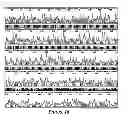 Fig. 35 - Integrated systems for the multiplexed amplification and detection of six and greater dye labeled fragments
