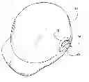 Fig. 01 - Portable light source