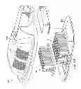 Fig. 08 - LED lighting apparatus with flexible light modules