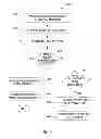 Fig. 06 - Selecting a master processor from an ambiguous peer group
