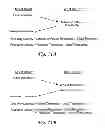 Fig. 12 - Performing rate limiting within a network