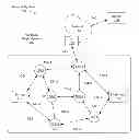 Fig. 01 - System and method for improving network convergence via adaptive routing techniques
