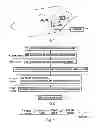 Fig. 02 - Carrier allocation in wireless network