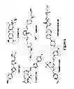 Fig. 08 - Bivalent multifunctional ligands targeting Aβ oligomers as treatment for Alzheimer's disease