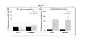 Fig. 09 - Bone Augmentation Utilizing Muscle-Derived Progenitor Compositions, And Treatments Thereof