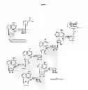 Fig. 02 - Compositions and methods for treating cancer and modulating stress granule formation