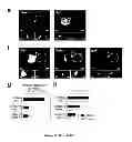 Fig. 03 - METHODS AND PHARMACEUTICAL COMPOSITIONS FOR THE TREATMENT OF HIV-1 INFECTIONS