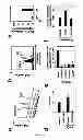 Fig. 07 - METHODS AND PHARMACEUTICAL COMPOSITIONS FOR THE TREATMENT OF HIV-1 INFECTIONS