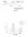 Fig. 07 - Uniform field magnetization and targeting of therapeutic formulations