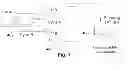 Fig. 08 - Uniform field magnetization and targeting of therapeutic formulations