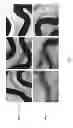 Fig. 22 - Uniform field magnetization and targeting of therapeutic formulations