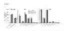 Fig. 10 - VACCINE COMPRISING BETA-HERPESVIRUS