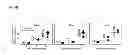 Fig. 15 - VACCINE COMPRISING BETA-HERPESVIRUS