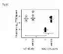 Fig. 19 - VACCINE COMPRISING BETA-HERPESVIRUS