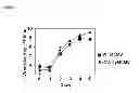 Fig. 24 - VACCINE COMPRISING BETA-HERPESVIRUS