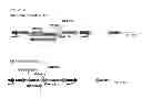 Fig. 48 - VACCINE COMPRISING BETA-HERPESVIRUS