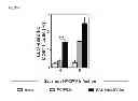 Fig. 69 - VACCINE COMPRISING BETA-HERPESVIRUS