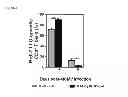 Fig. 70 - VACCINE COMPRISING BETA-HERPESVIRUS