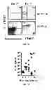 Fig. 09 - Recombinant Bacterium and Uses Thereof