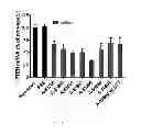 Fig. 02 - LIPID FORMULATED SINGLE STRANDED RNA